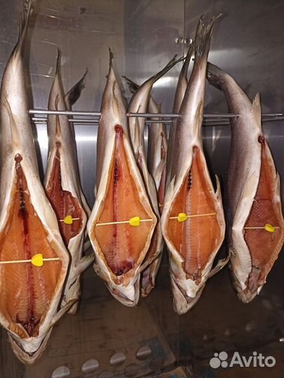 Морская копченая и вяленая рыба