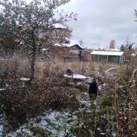 Участок 5 сот. (СНТ, ДНП)