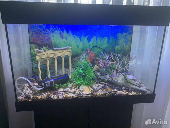 Аквариум на 80 литров с тумбой
