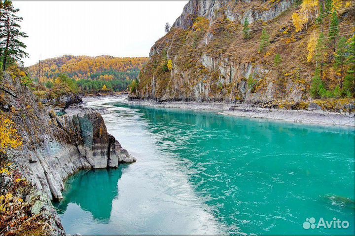 Влюбись в Алтай