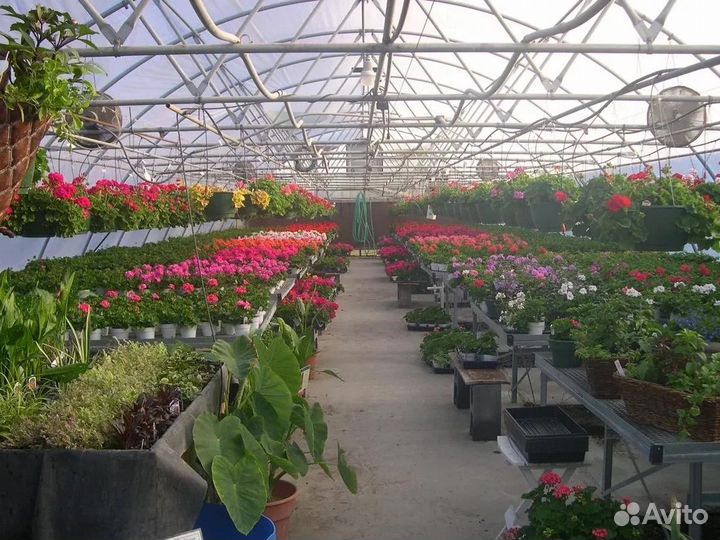 Упаковщик/маркировщик горшечных растений