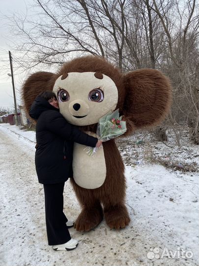 Белый мишка поздравление