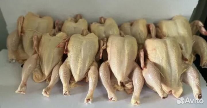Мясо бройлера домашнего