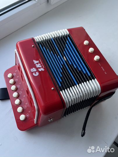 Детский Аккордион /гармошка cb sky