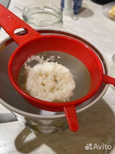 Молочный гриб