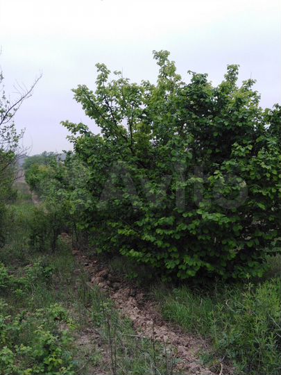 Участок 3,3 га (СНТ, ДНП)