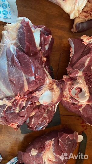 Мясо свинины, голова свиная