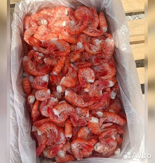 Креветка Северная