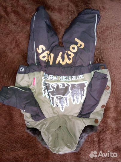 Одежда для маленьких собак