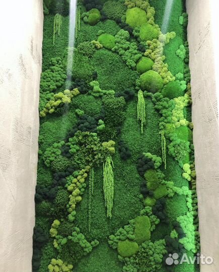 Картина из стабилизированного мха