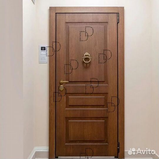 Парадная металлическая дверь в частный дом DD-246