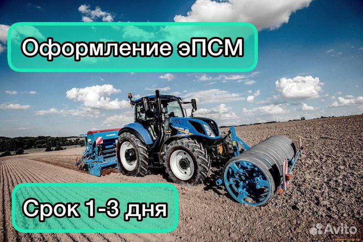 Оформление эптс/эпсм за 2-3 дня. Утиль, Глонасс