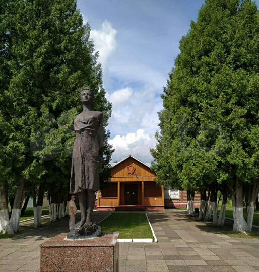 Участок 6 сот. (СНТ, ДНП)