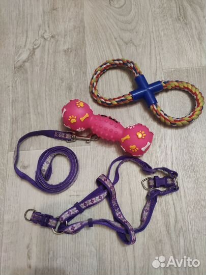 Поводок для собак