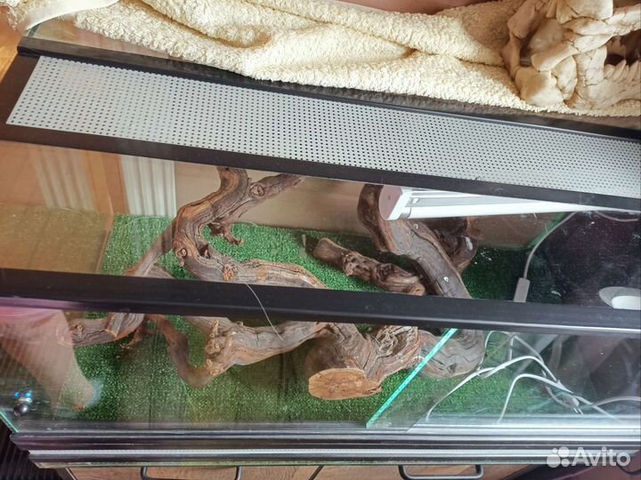 Террариум для рептилий