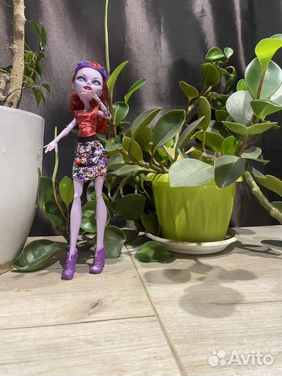 Куклы монстер хай кукла оригинал