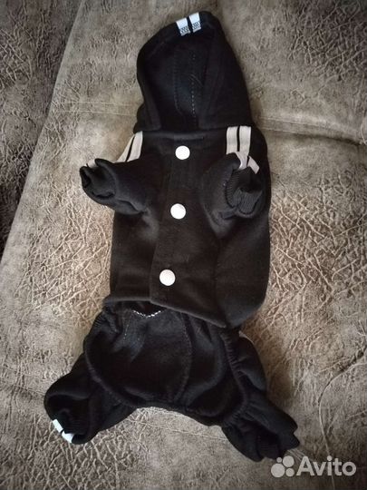 Вещи для маленьких собак