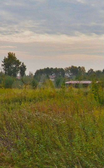 Участок 6 сот. (СНТ, ДНП)