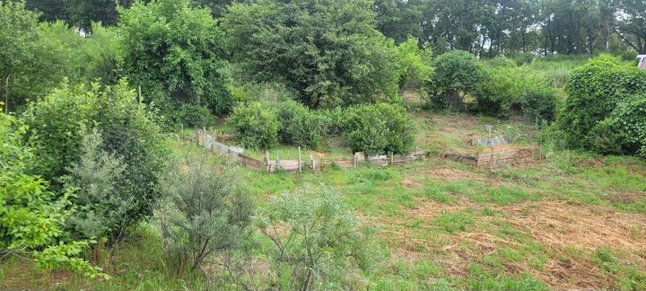 Участок 6 га (СНТ, ДНП)