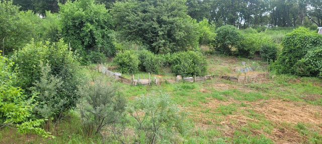 Участок 6 га (СНТ, ДНП)