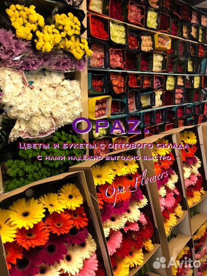 Розы Цветы Букеты Доставка 101 роза 51 роза 25 роз