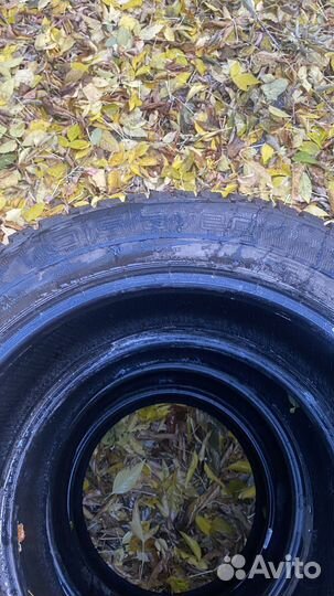 Gislaved Nord Frost 200 215/55 R17