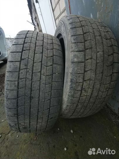 Dunlop Graspic DS3 195/55 R15