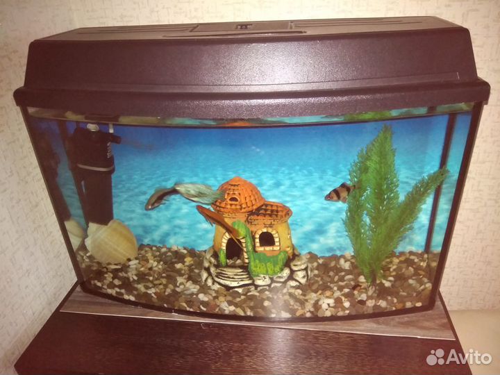 Аквариум