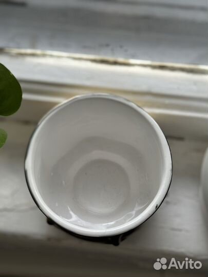 Горшок будда