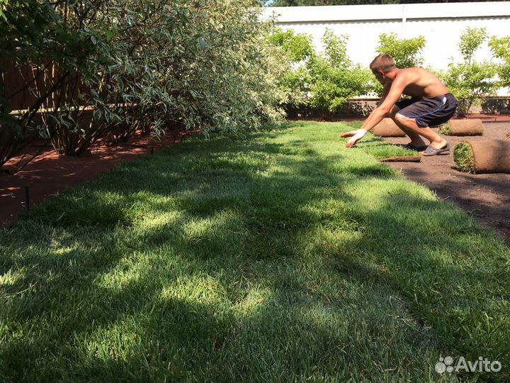 Pyлoнный газон