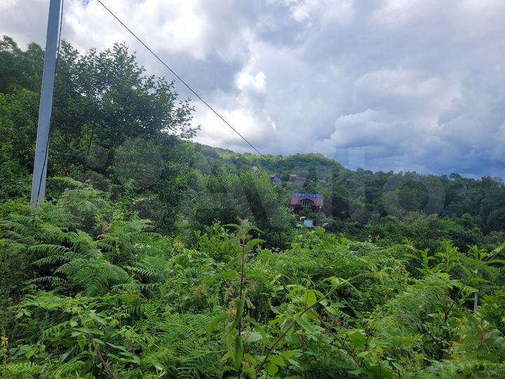 Участок 5,1 сот. (СНТ, ДНП)