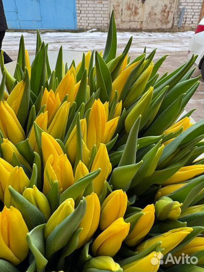 Цветы с доставкой