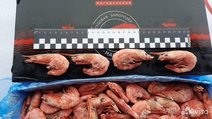 Красная Икра 2023г оптом без посредников