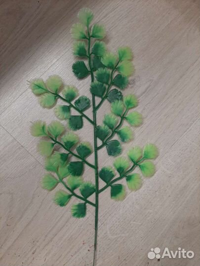 Ветки пальмы