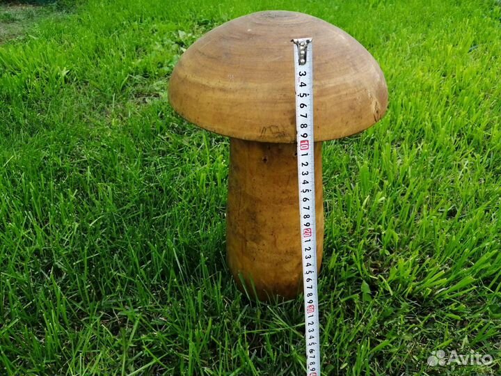 Грибы для газона