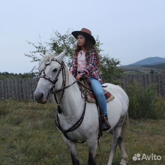 Прогулка на лошадях