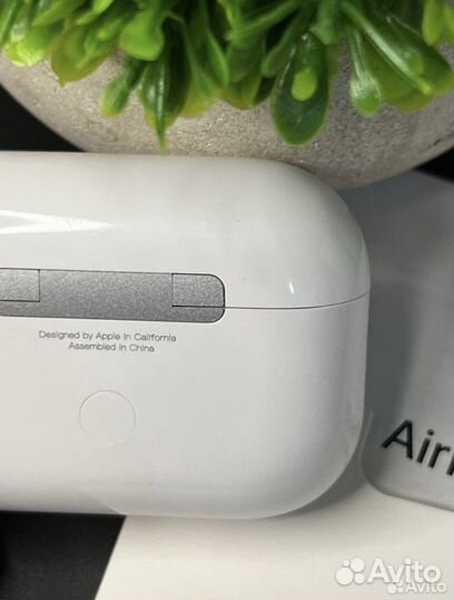 AirPods Pro 2 Gen Type-c (чехол в подарок )