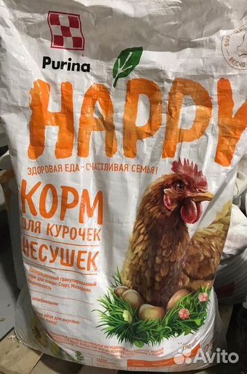 Пурина для кур несушек