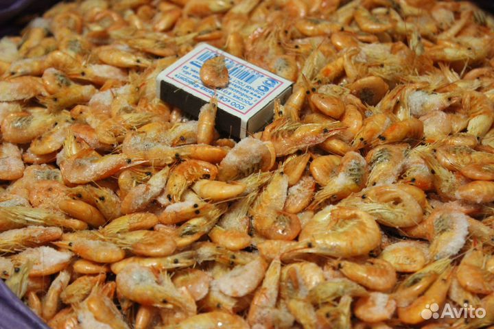 Креветка азовская малого размера