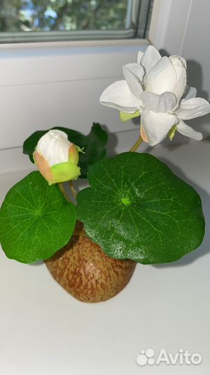 Декоративные цветы на островке Икеа