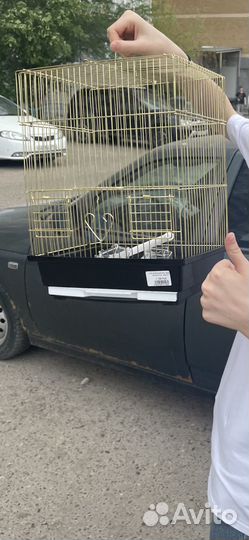Клетка для попугая, корм, емкость для купания