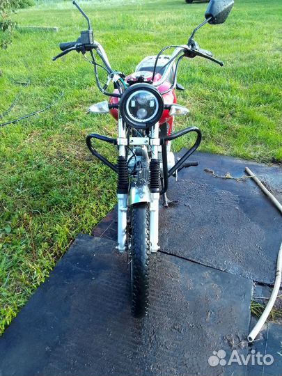 Альфа скаут