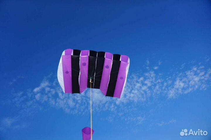 Воздушный змей