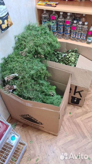 Веники для бани