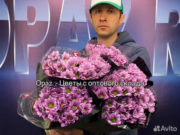 Хризантема