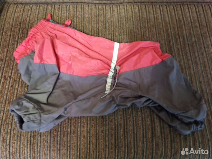 Одежда и амуниция для средней собаки