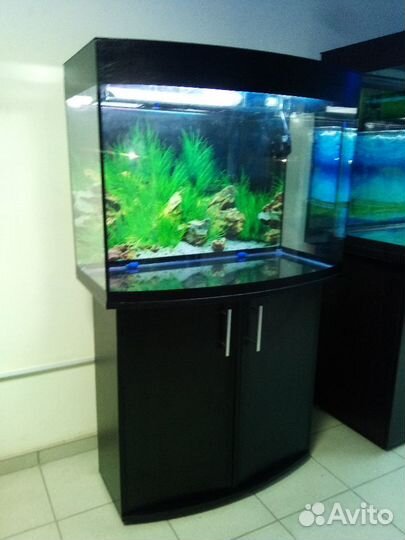 Аквариум 180л, полукруглый, свет, биофильтр, подс
