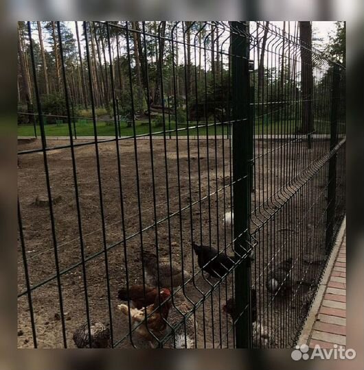 Металлический забор
