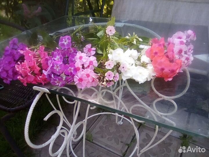 Декоративные, цветочные, ягодники