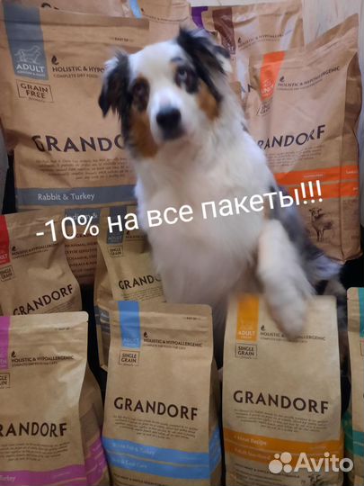 Грандорф grandorf корм холистик Бельгия